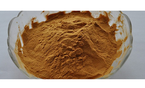 Japanese Style Spray Dried Soy Sauce Powder